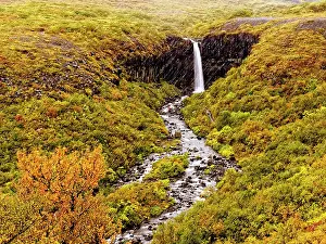 Environmentalism: Svartifoss (Black Fall), a 20m waterfall