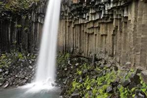 Svartifoss: Svartifoss waterfall close up