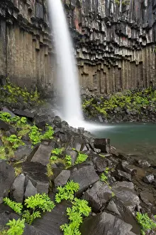 Svartifoss: Svartifoss waterfall close up
