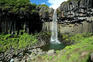 Basaltic: Svartifoss waterfall, Iceland