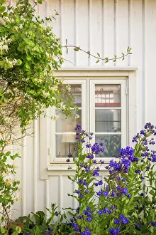 Bohuslan: Sweden, Bohuslan, Smogen, house detail