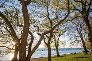 Walkway: Sweden, Gotland Island, Visby, Strandpromenaden