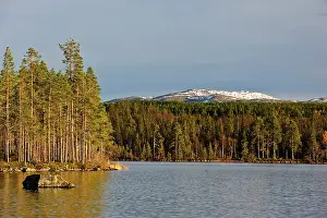 Jamtland: Sweden, Jamtland, Djupsjon. View of Djupsjon