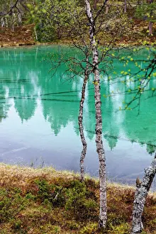 Tranquility: Sweden, Jamtland, Valadalen Nature Preserve