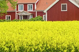 Southeastern: Sweden, Lake Vattern Area, Renstad, farm, springtime