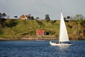 Oresund: Sweden, Skane, Isle of Ven. Sailboat passing