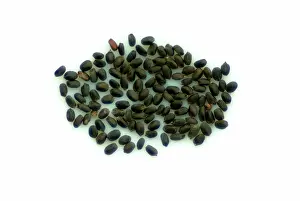 Basil: Sweet Basil Seeds