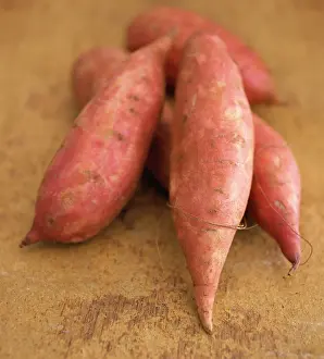 Repetition: Sweet Potato