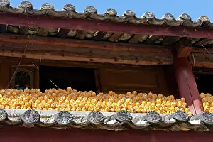 Sweetcorn: Sweetcorn