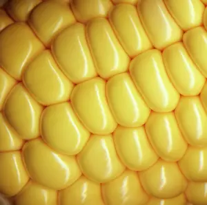 Sweetcorn: Sweetcorn