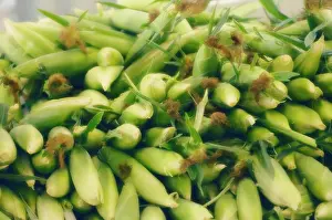 Sweetcorn: Sweetcorn