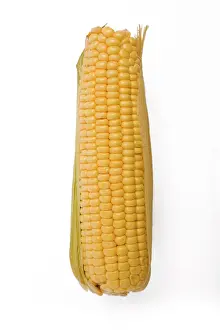 Sweetcorn: Sweetcorn - corn on the cob