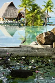 Release: Swimming pool area of the Bora Bora Nui