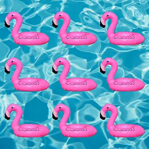 Watery: Swimming pool with inflatable flamingo Swimming