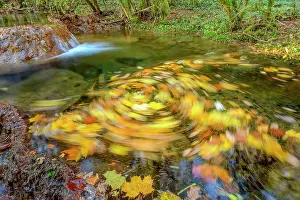 Spiral: Swirl of dead leaves in a small river Bugey, Region