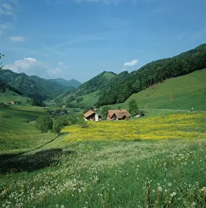 Chalets: Swiss Alpine meadow with chalets