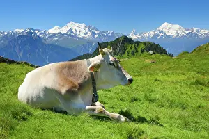 Pyramid: Swiss Alps, Mischabel Group, Matterhorn, Weisshorn