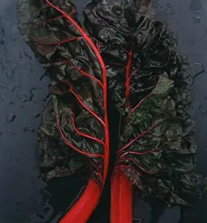 Chard: Swiss chard