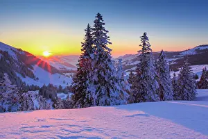 Hibernation: Swiss Pre-Alps, Bernese Plateau, Gurnigel, Switzerland