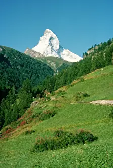 Devon Wildlife Trust: Switzerland - Alps, Matterhorn, Monte Cervino from