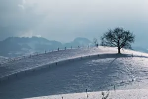 Bern: Switzerland, Bern-Mittelland, Bernese Alps