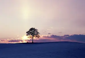 Chill: Switzerland, Bernese Mitteland