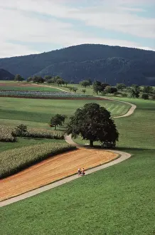 Bicycle: Switzerland, Jura Mountains (Large format