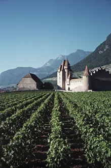 Barnes: Switzerland, Vaud Canton, Chateau and Vineyards