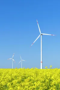 Generation: Symbolic image wind energy, energy transition, wind