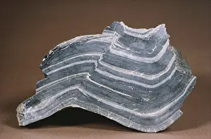 Fold: Synclinal Fold