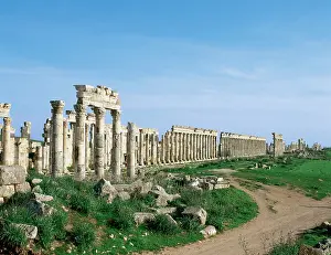 Colonnade: SYRIA. APAMEA (Afamia). Colonnade in Cardo