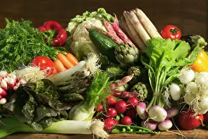 Peppers: Table full of Vegetables