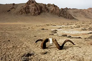 Tajikistan: Tajikistan - High valley in Pamir mountain - Murgab