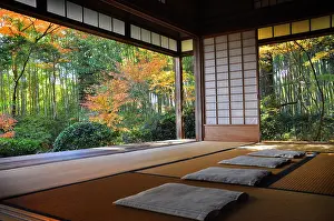 Plastic: Takeguchidera temple in autumn in Ky&, x134bec; Japan