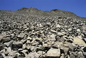 Lobe: Talus-covered Slope
