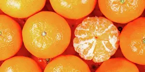 Mandarin: Tangerine Clementine Fruit Tangerine Clementine