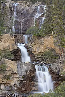 Tangle: Tangle Falls