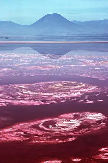 Soda: TANZANIA - Lake Natron, Soda lake / Mt. Lengai