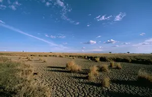 Alyssa Giustozzi: TANZANIA - Serengeti National Park