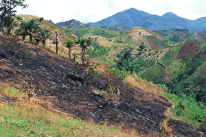 Burned: Tanzania, Western Tanzania. Farmland burned