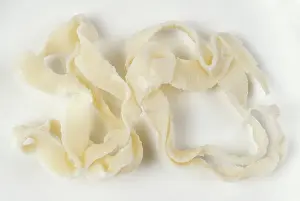 Tapeworm: TAPEWORM - From Cat