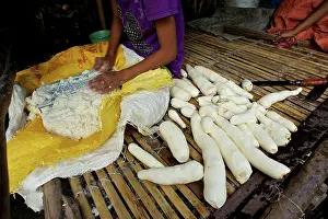 Esculenta: Tapioca preparation