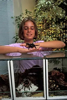 Tarantulas: Tarantula / Bird-Eating Spider being held by girl