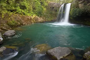 Turqoise: Tawhai Falls - waters drop down Tawhai Falls into