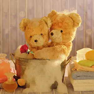 170222: Teddy Bear - Two teddies at bathtime holding a red rose