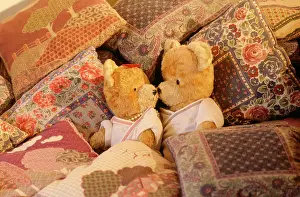 Teddies: Teddy Bear - x2 teddies in bed