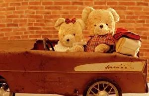Teddies: Teddy Bear - x2 teddies in car