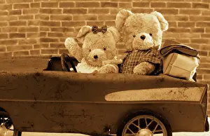 Teddies: Teddy Bear - x2 teddies in car