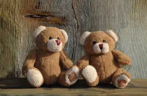 Bench: Two teddy bears on a wooden bench and wood behin