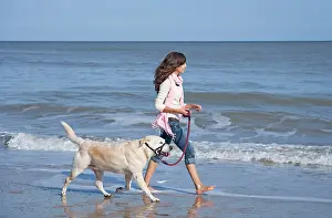 Teenage: Teenage Girl walking Labrador Dog on beach